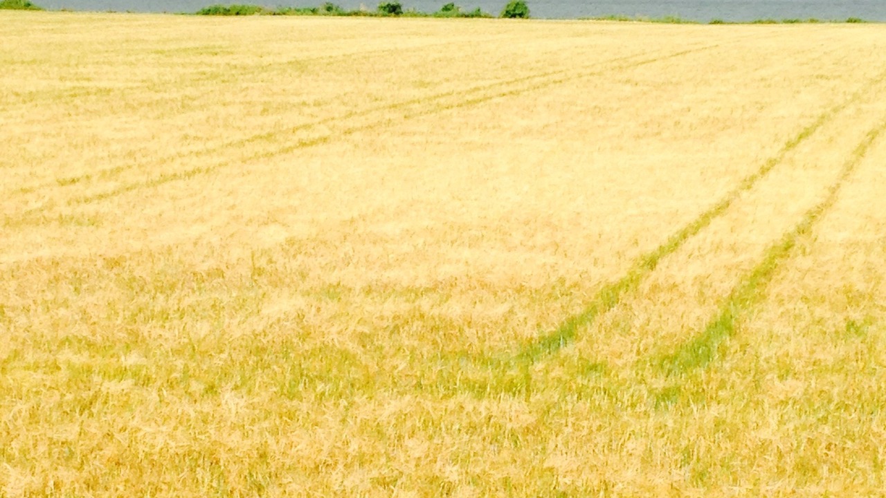 Photo of Others in Maribo