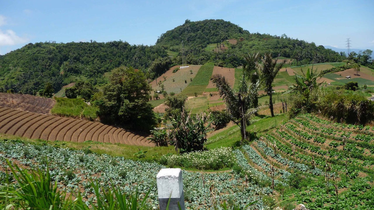Photo of Outdoor in Pineleng