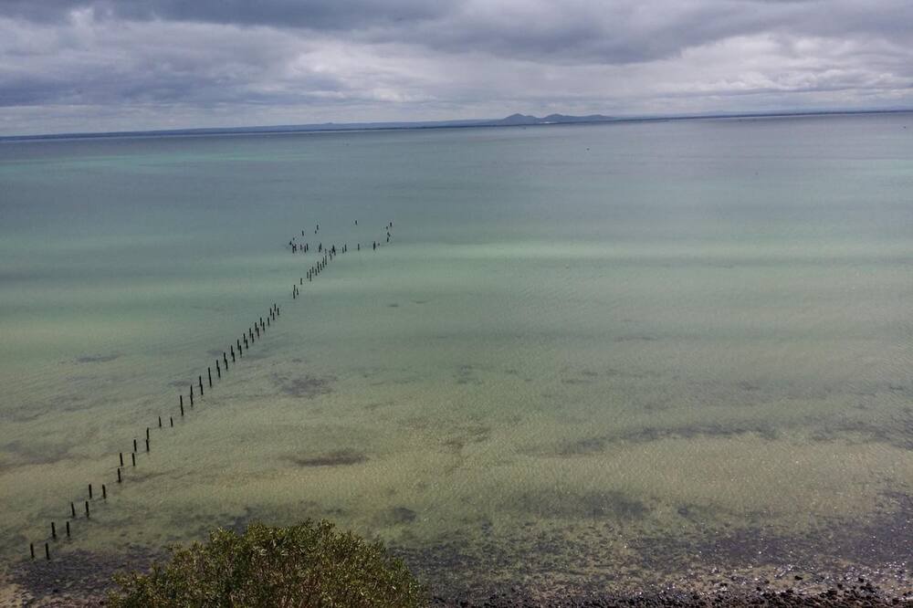 Photo of Others in Drysdale