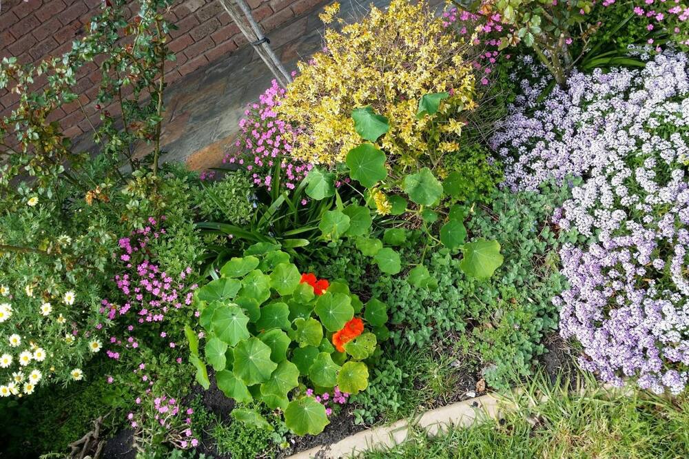 Photo of Outdoor in Drysdale