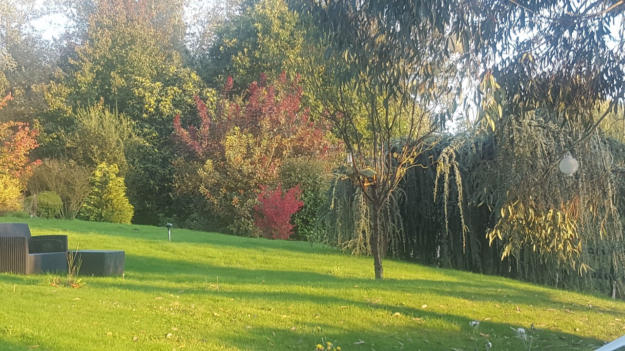 Photo of Others in Aubry-le-Panthou