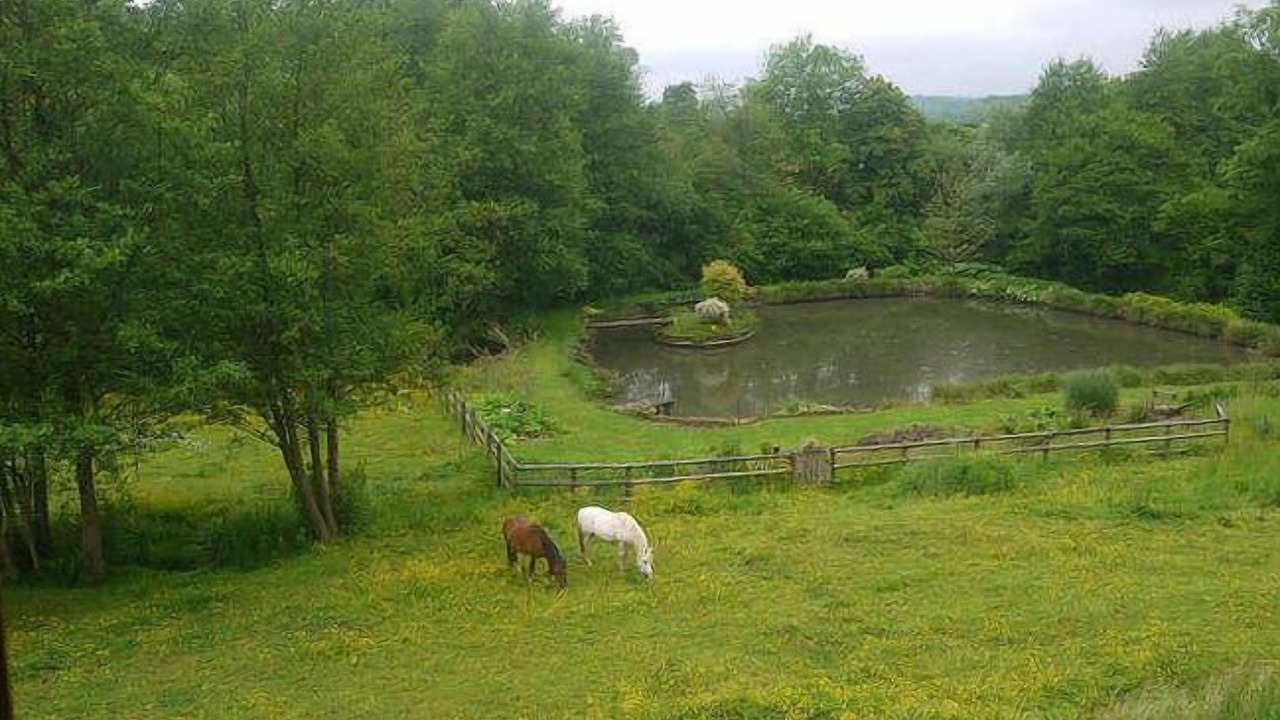 Photo of Outdoor in Aubry-le-Panthou