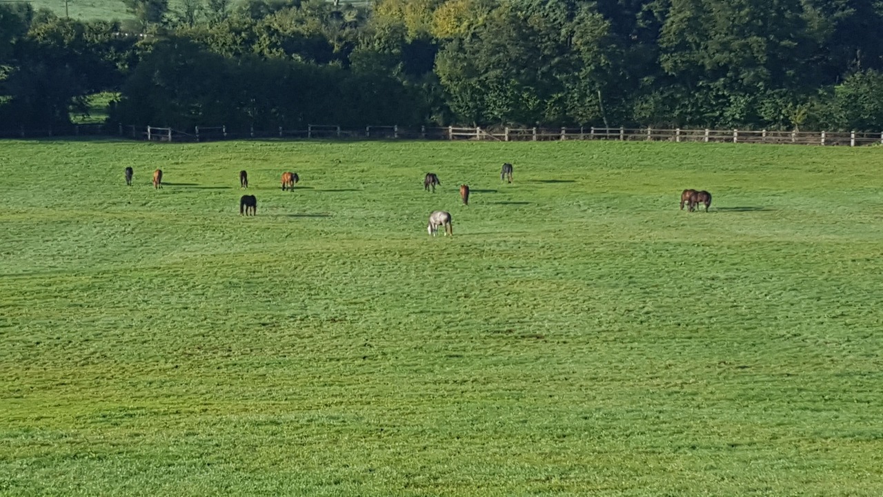 Photo of Bedroom in Aubry-le-Panthou