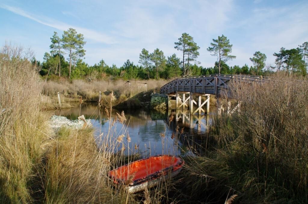 Photo of Others in Ares