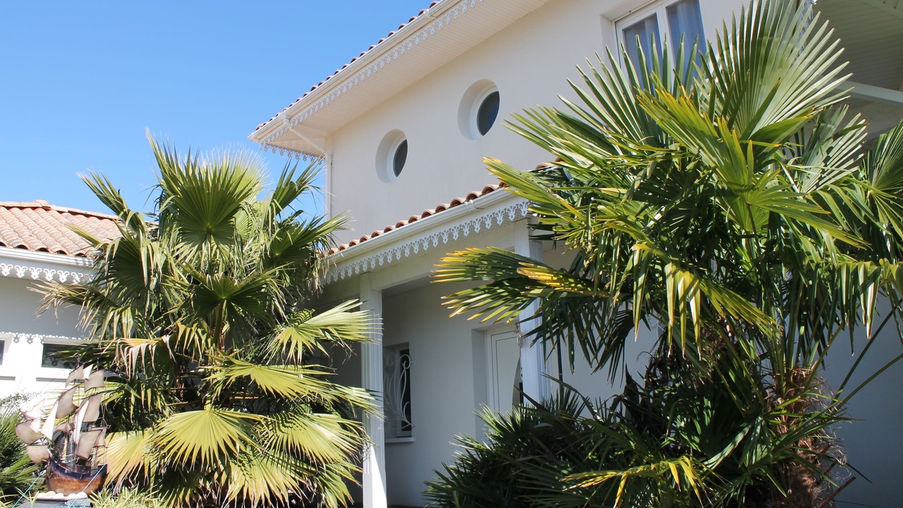 Photo of Outdoor in Ares