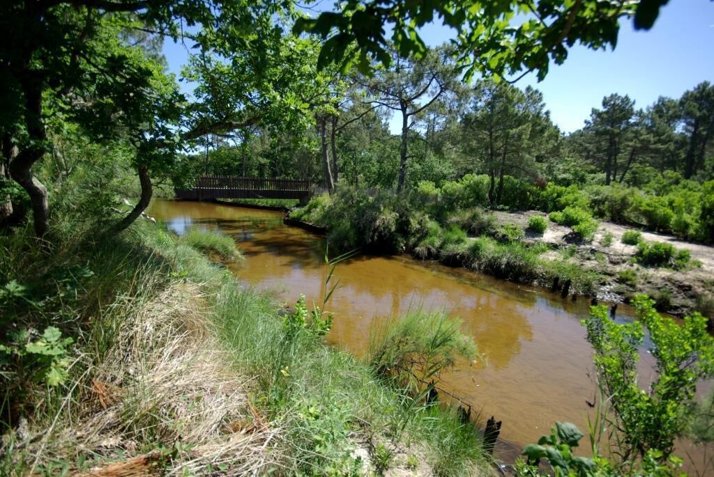 Photo of Others in Ares