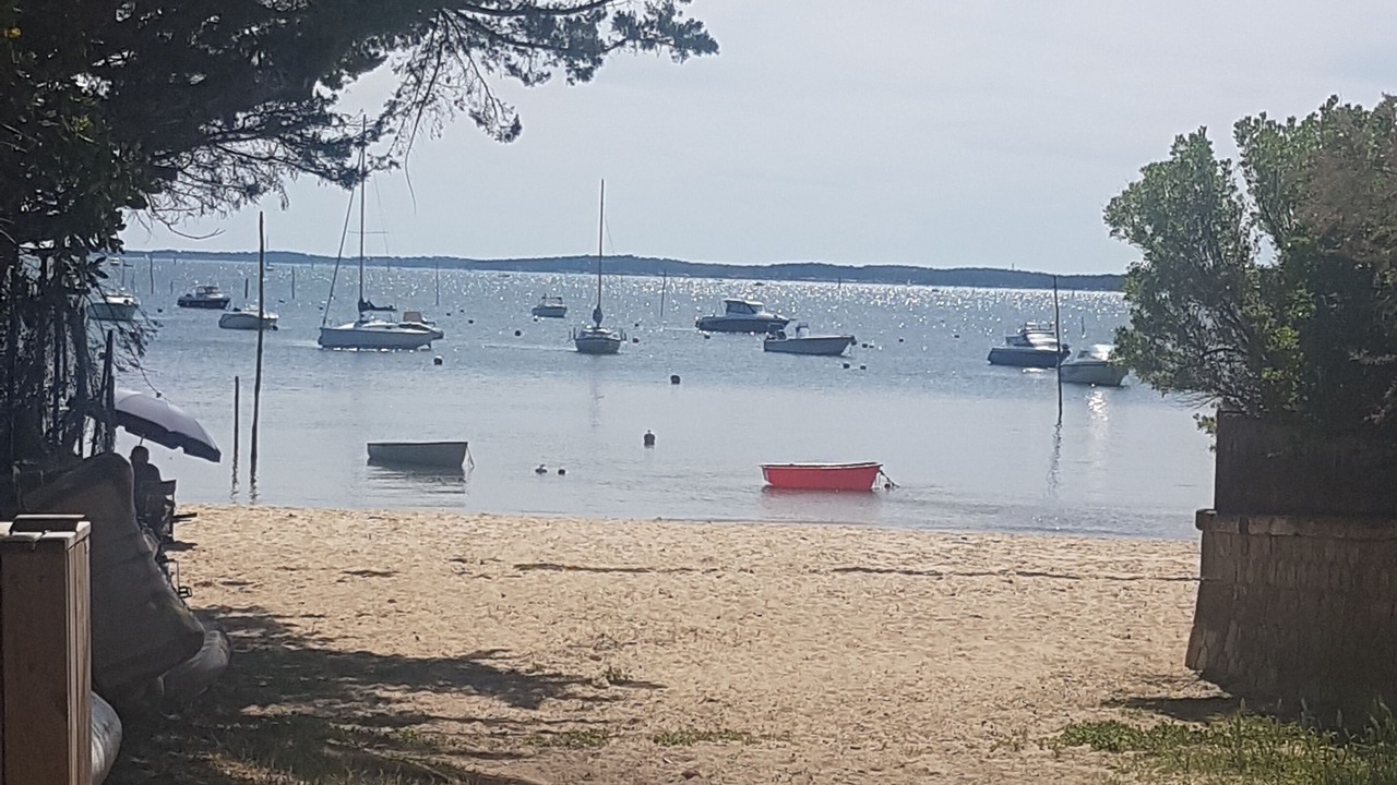 Photo of Others in Ares