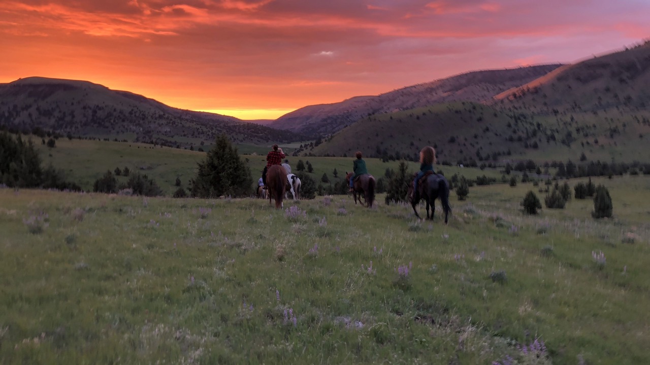 Photo of Others in Fossil
