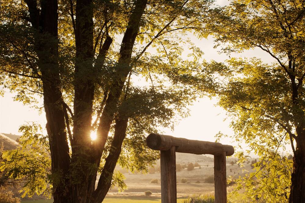 Photo of Outdoor in Fossil