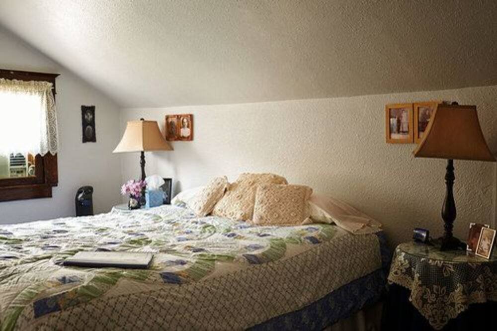 Photo of Others in Fossil