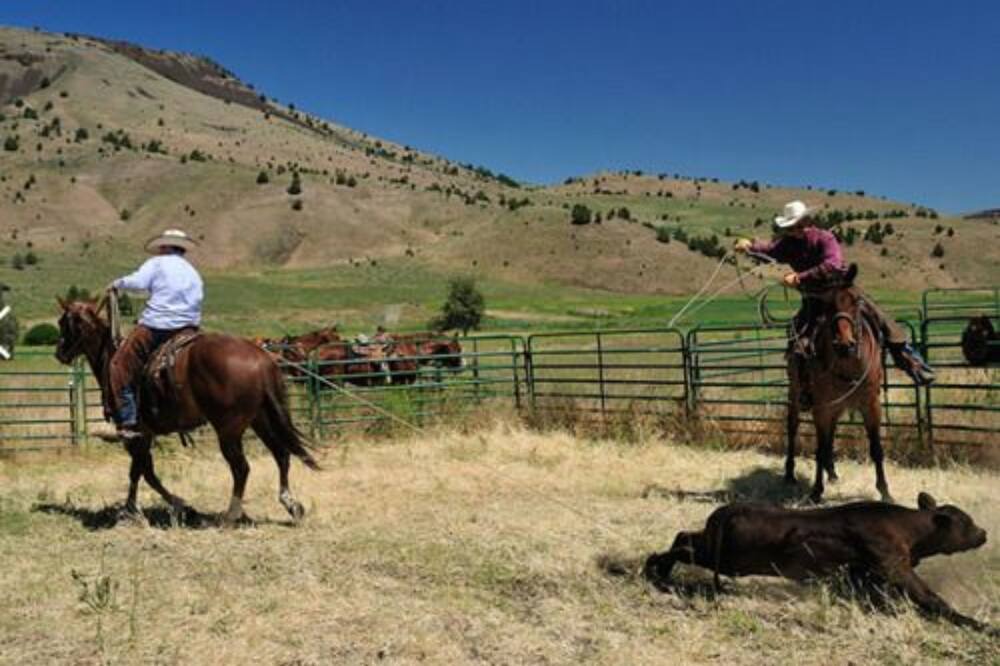 Photo of Outdoor in Fossil