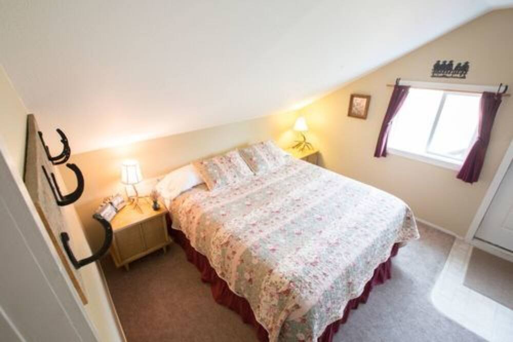 Photo of Others in Fossil