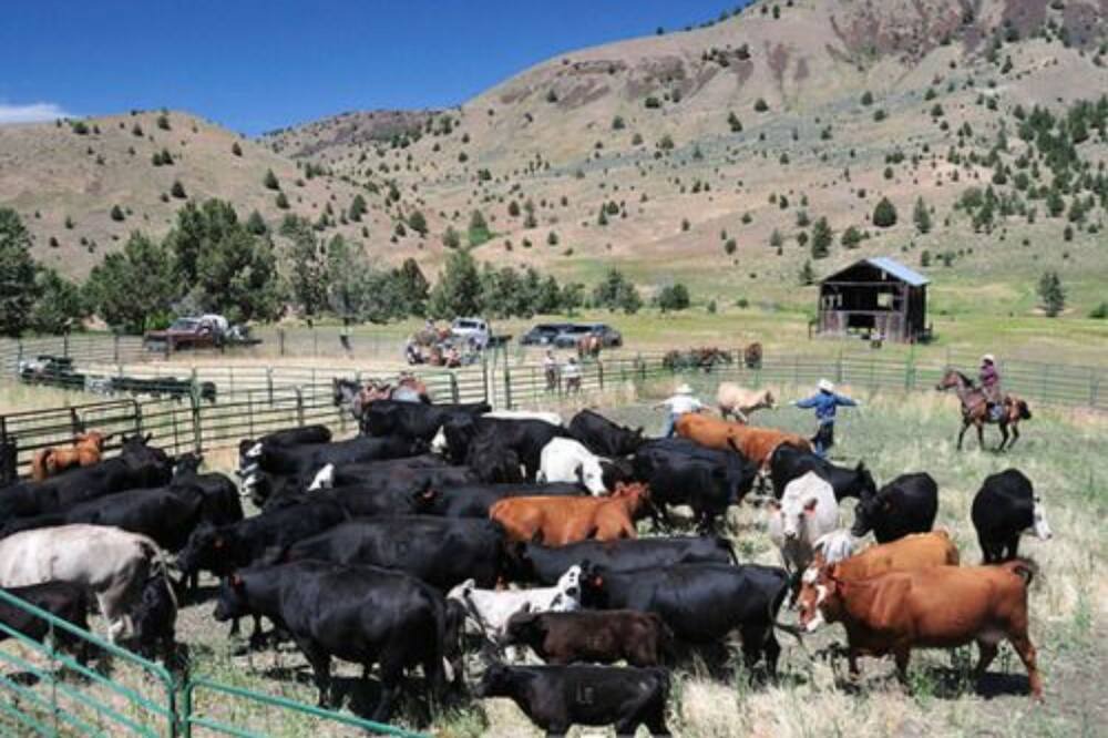 Photo of Outdoor in Fossil