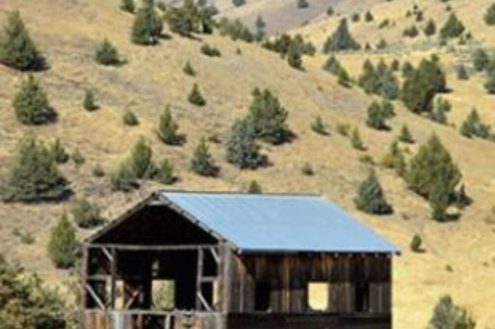 Photo of Others in Fossil