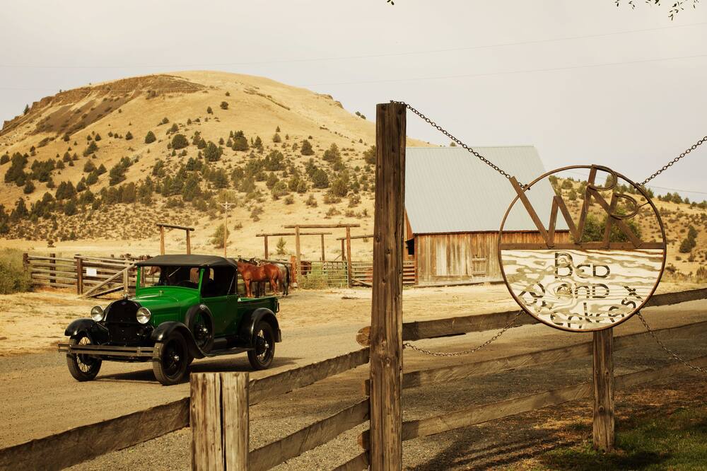 Photo of Others in Fossil