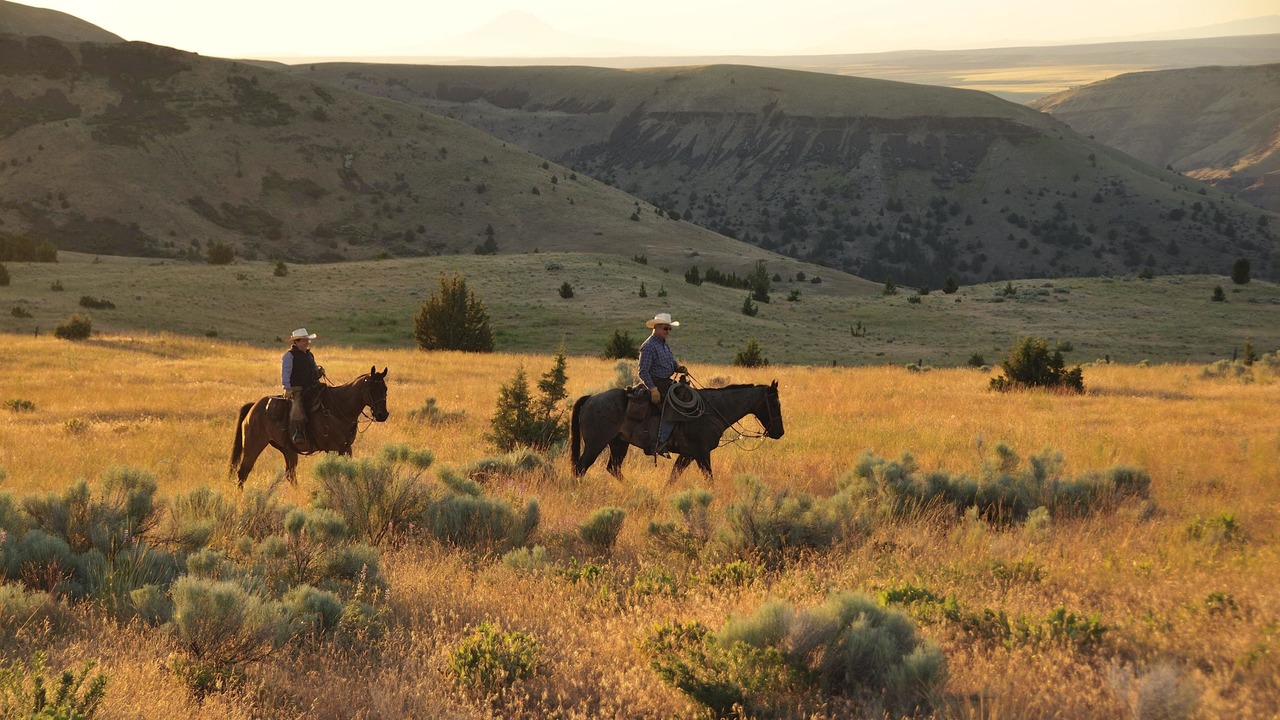 Photo of Others in Fossil