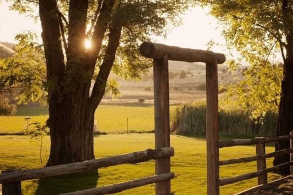 Photo of Others in Fossil