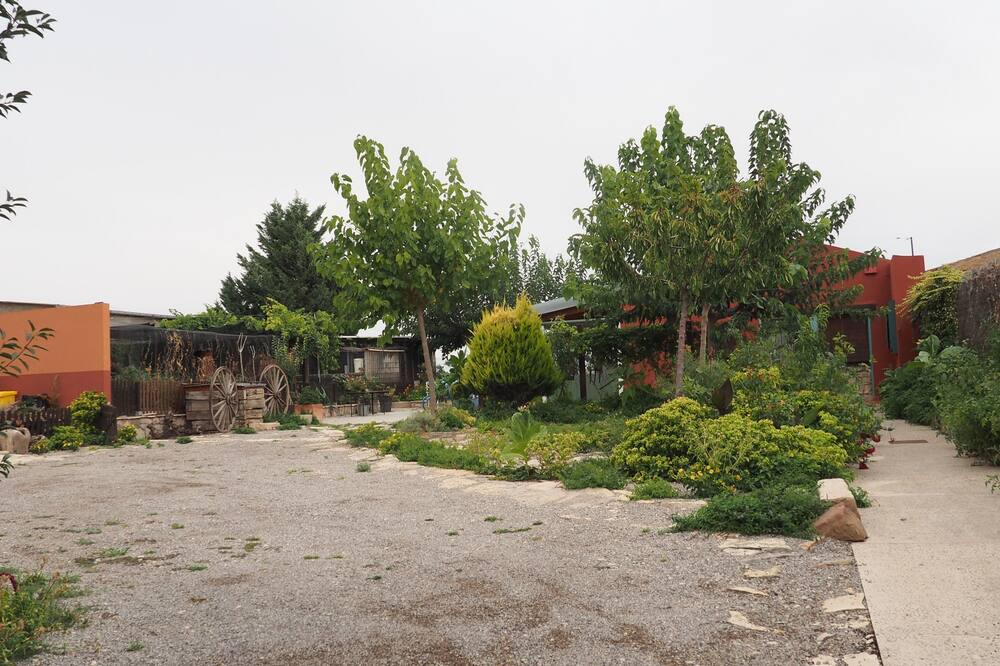 Photo of Outdoor in Verdu