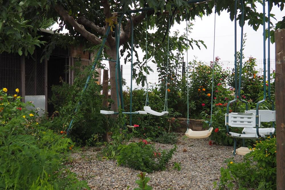 Photo of Outdoor in Verdu