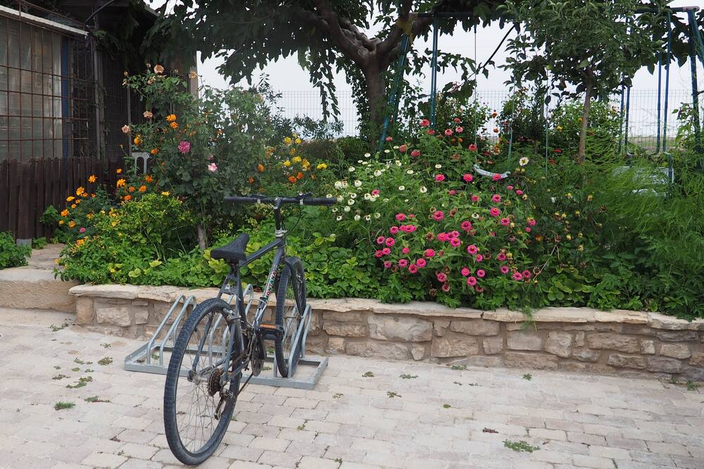 Photo of Outdoor in Verdu