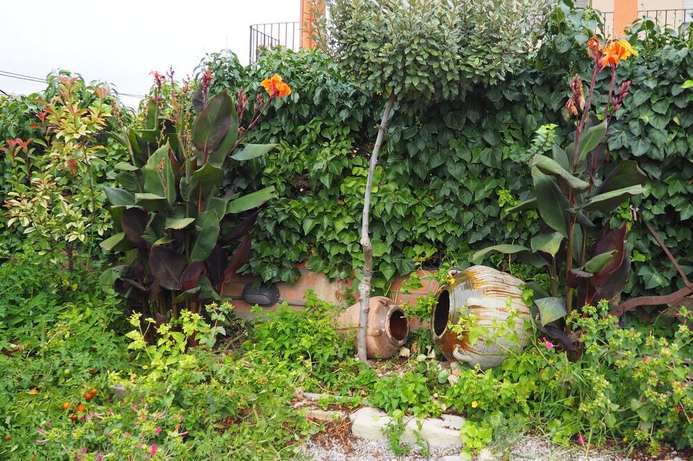 Photo of Outdoor in Verdu