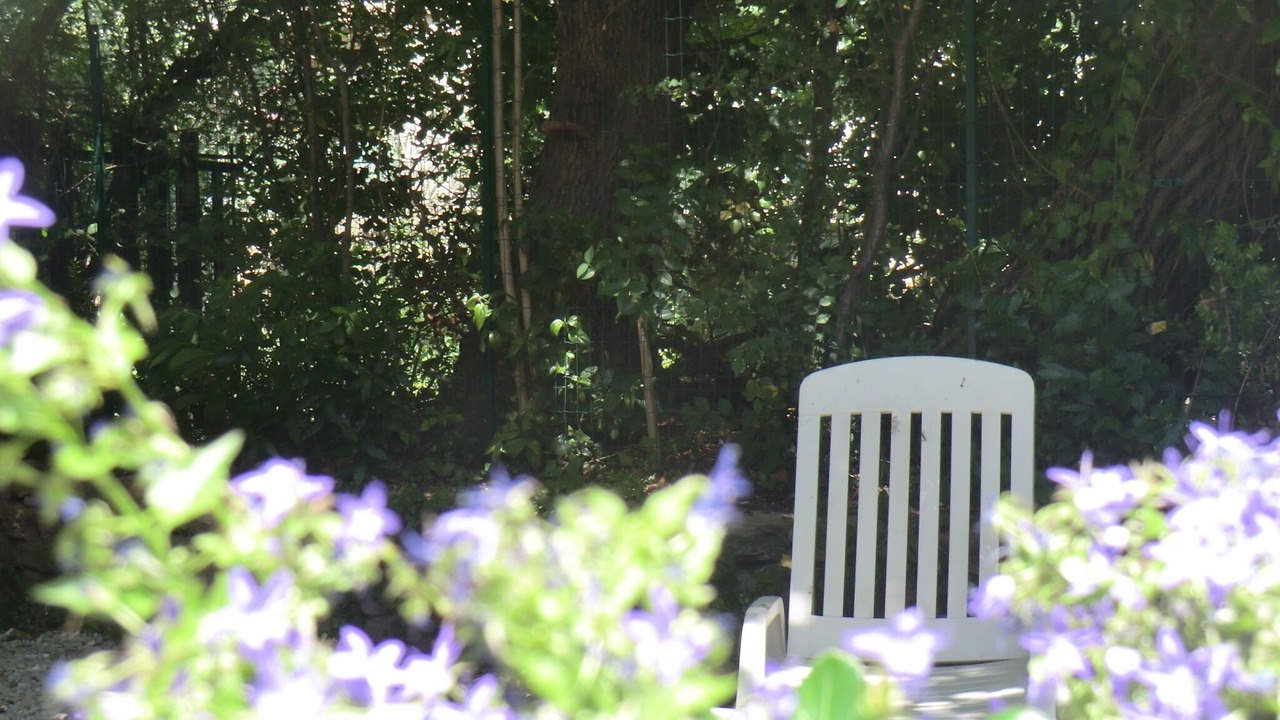 Photo of Outdoor in Vedene