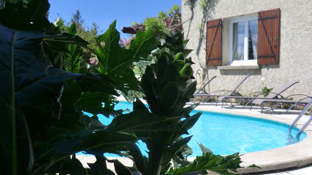 Photo of Outdoor in Vedene