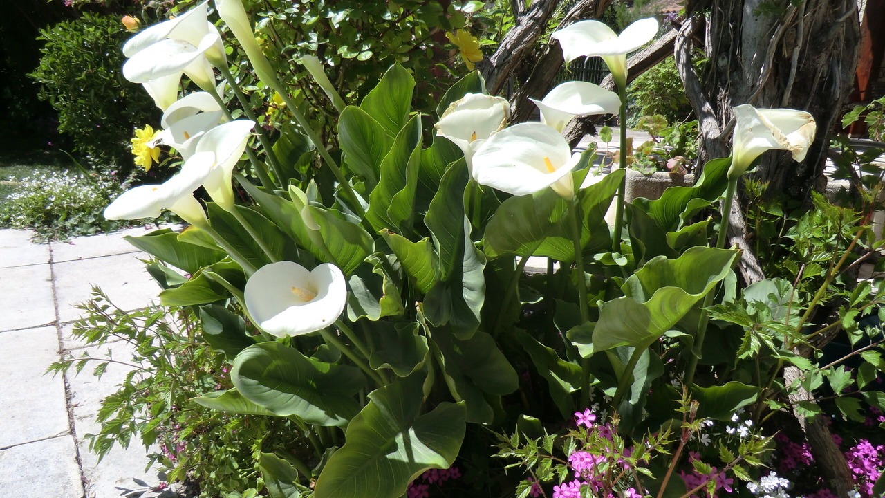 Photo of Outdoor in Vedene