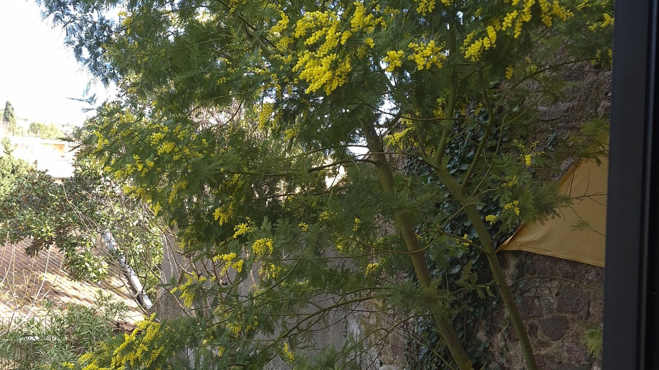 Photo of Others in Caunes-Minervois