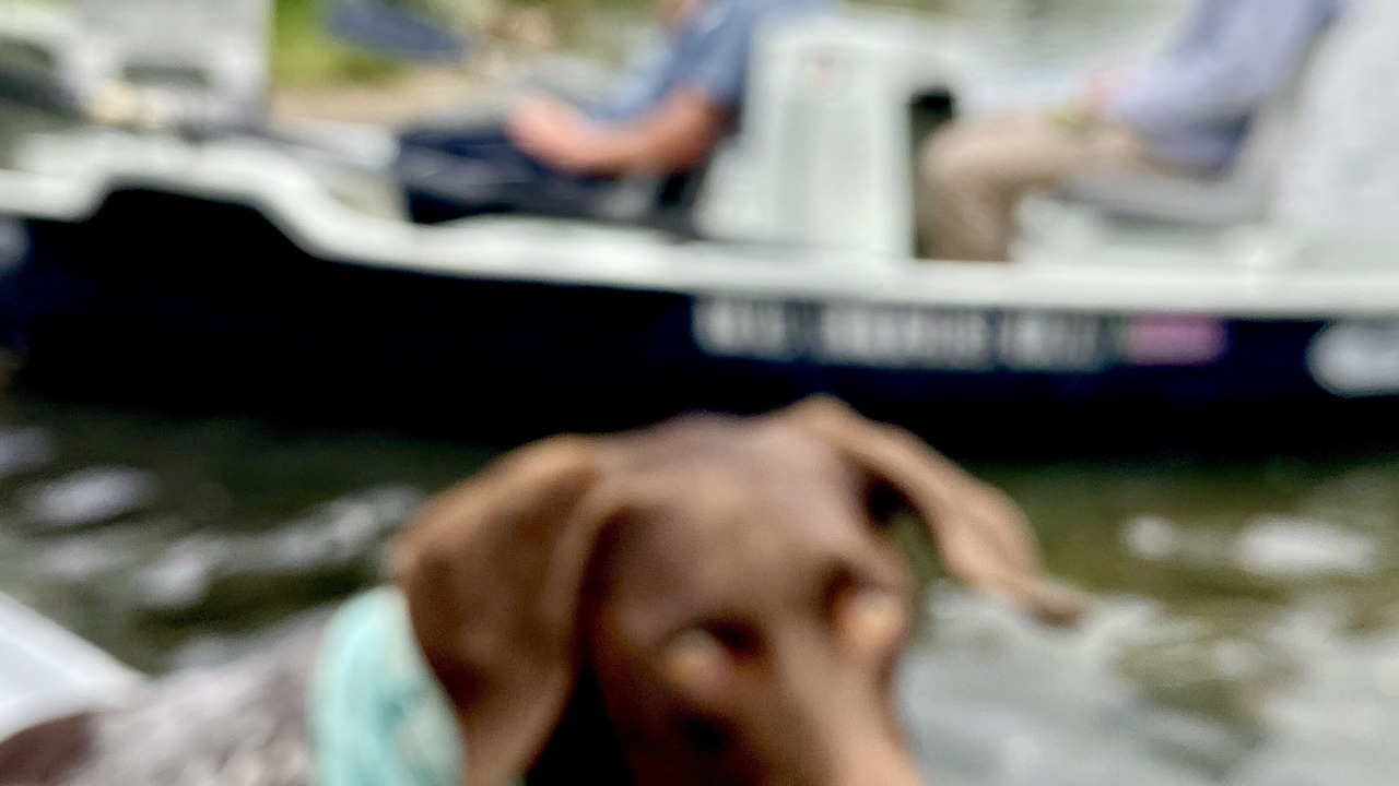 Photo of Others in Thermopolis