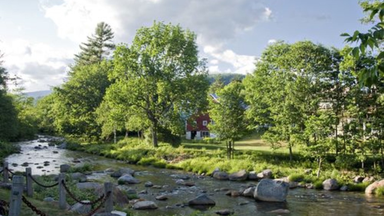 Photo of Outdoor in Jackson