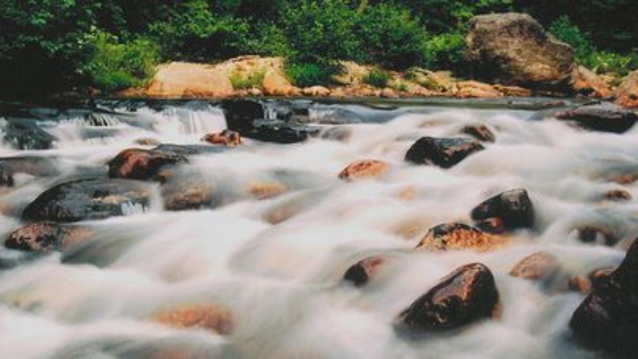 Photo of Outdoor in Jackson