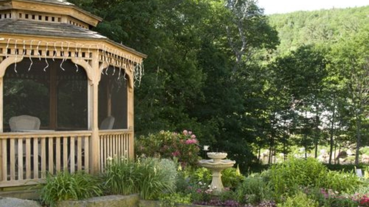 Photo of Outdoor in Jackson