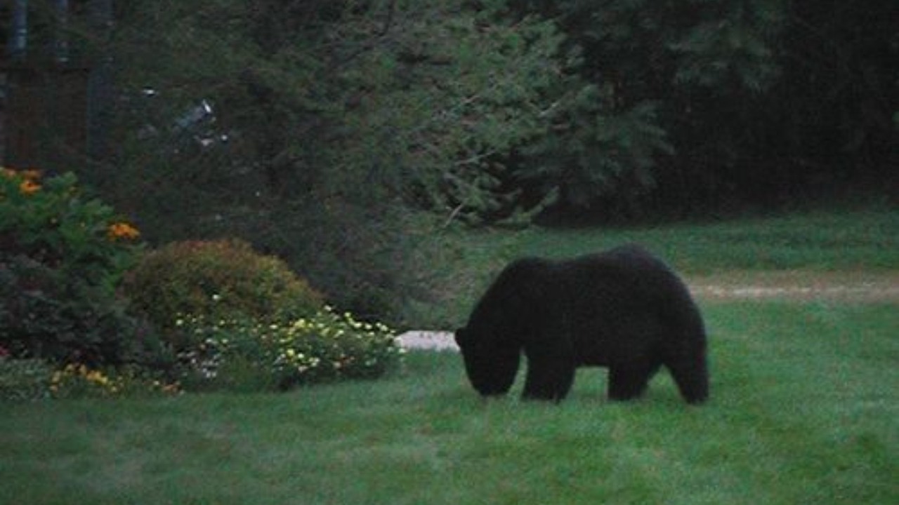 Photo of Outdoor in Jackson