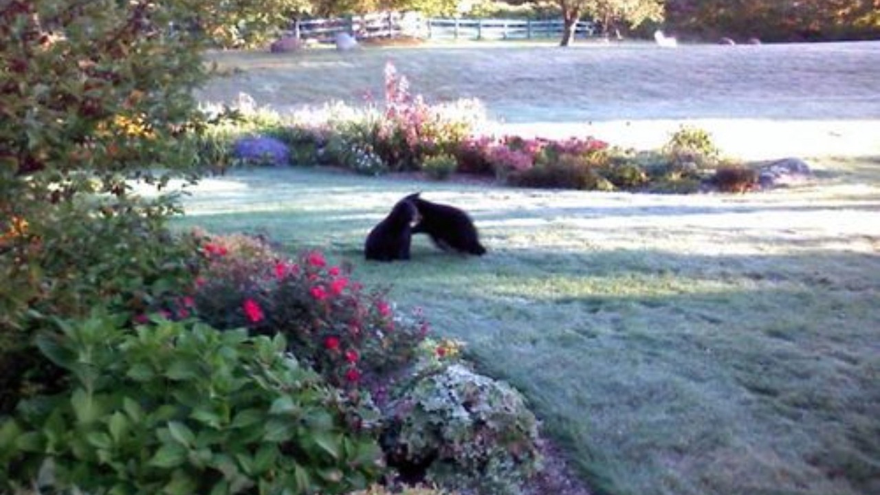 Photo of Outdoor in Jackson