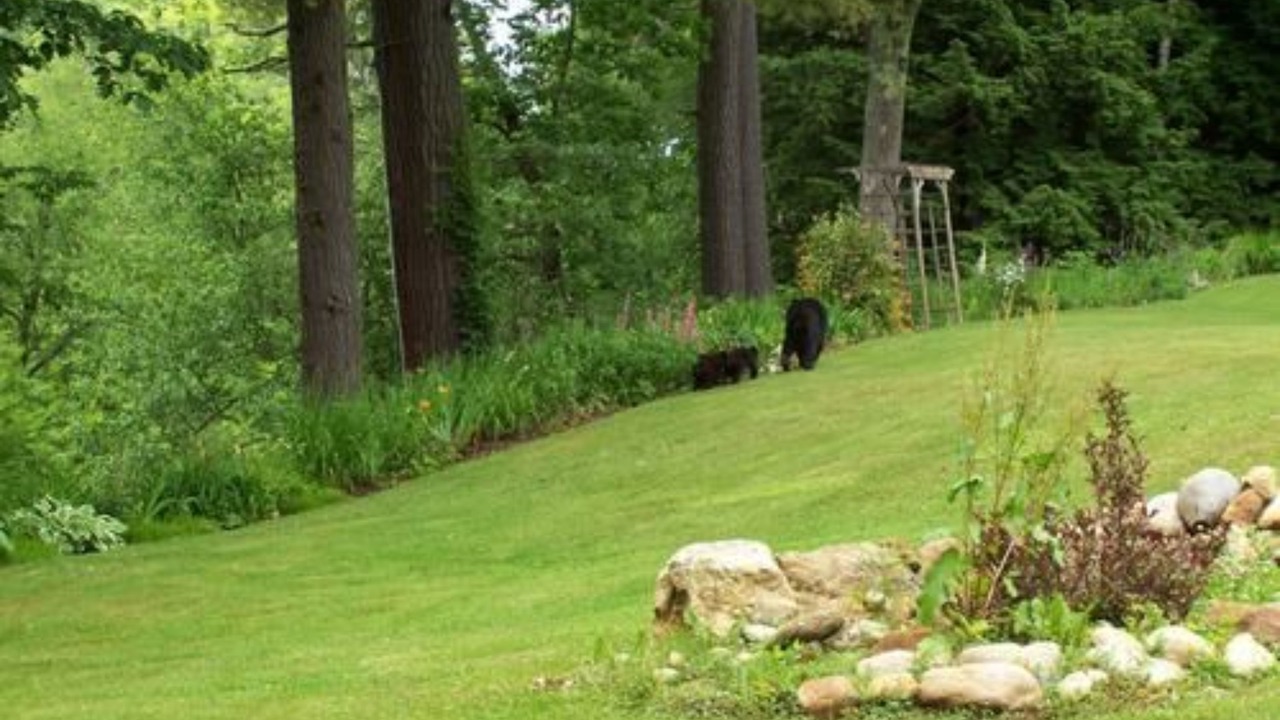 Photo of Outdoor in Jackson