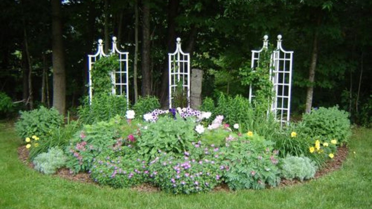 Photo of Outdoor in Jackson