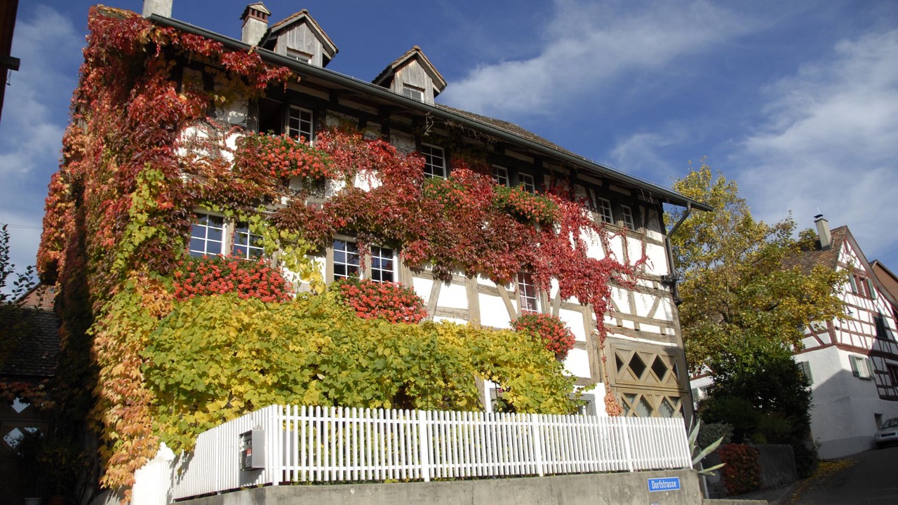 Photo of Outdoor in Andelfingen District