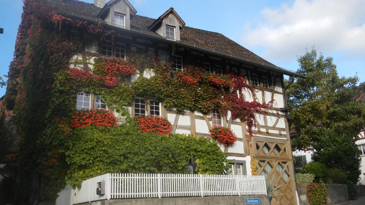 Photo of Outdoor in Andelfingen District