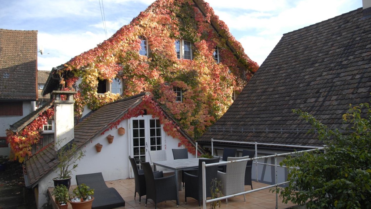 Photo of Patio Balcony in Andelfingen District