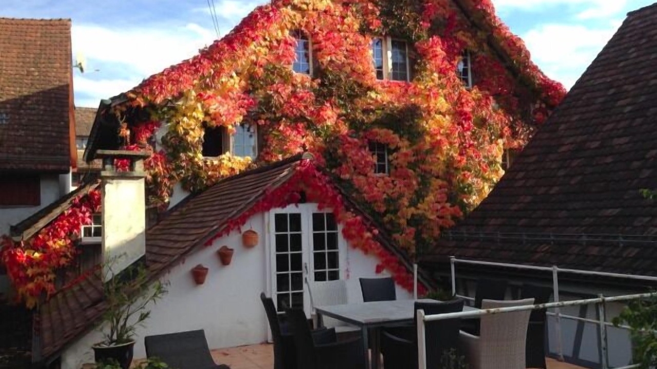 Photo of Outdoor in Andelfingen District