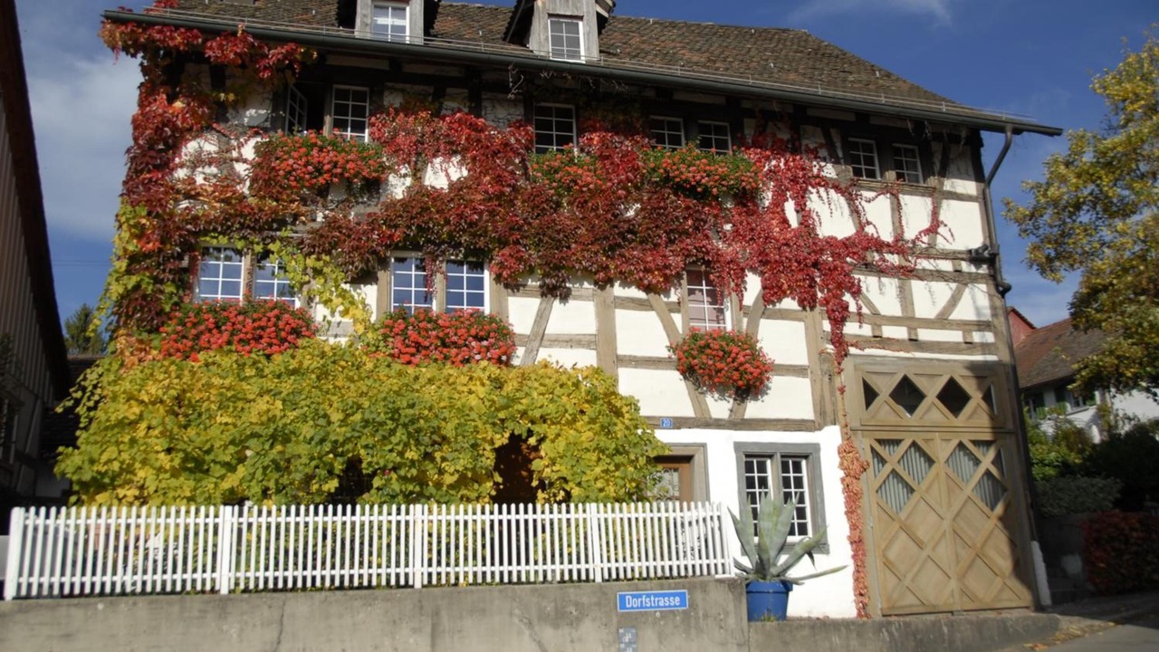 Photo of Outdoor in Andelfingen District