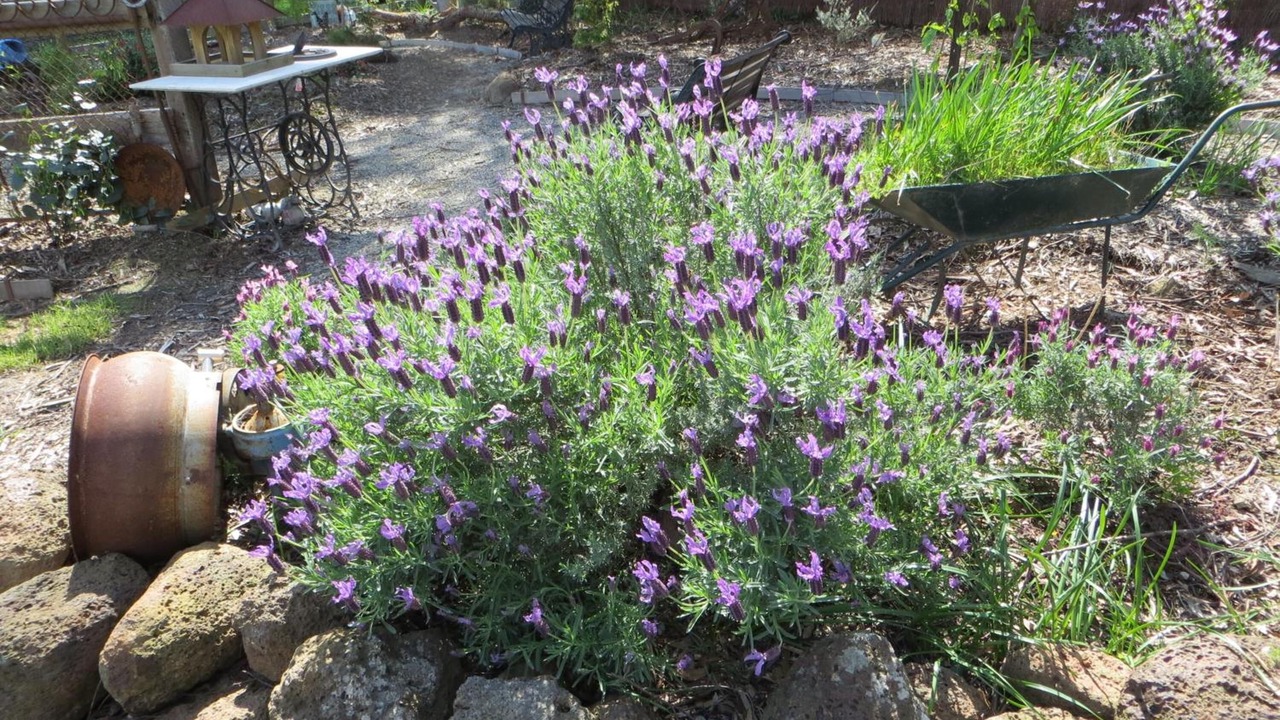 Photo of Outdoor in Yellingbo