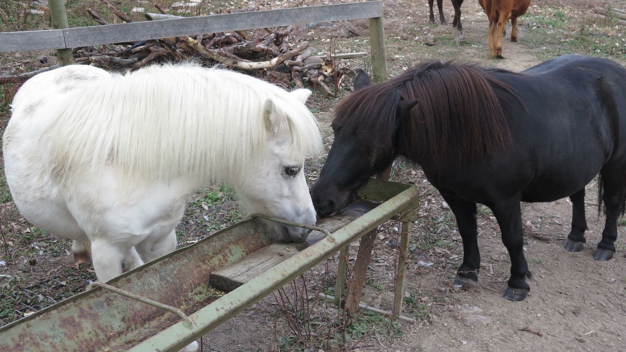 Photo of Outdoor in Yellingbo