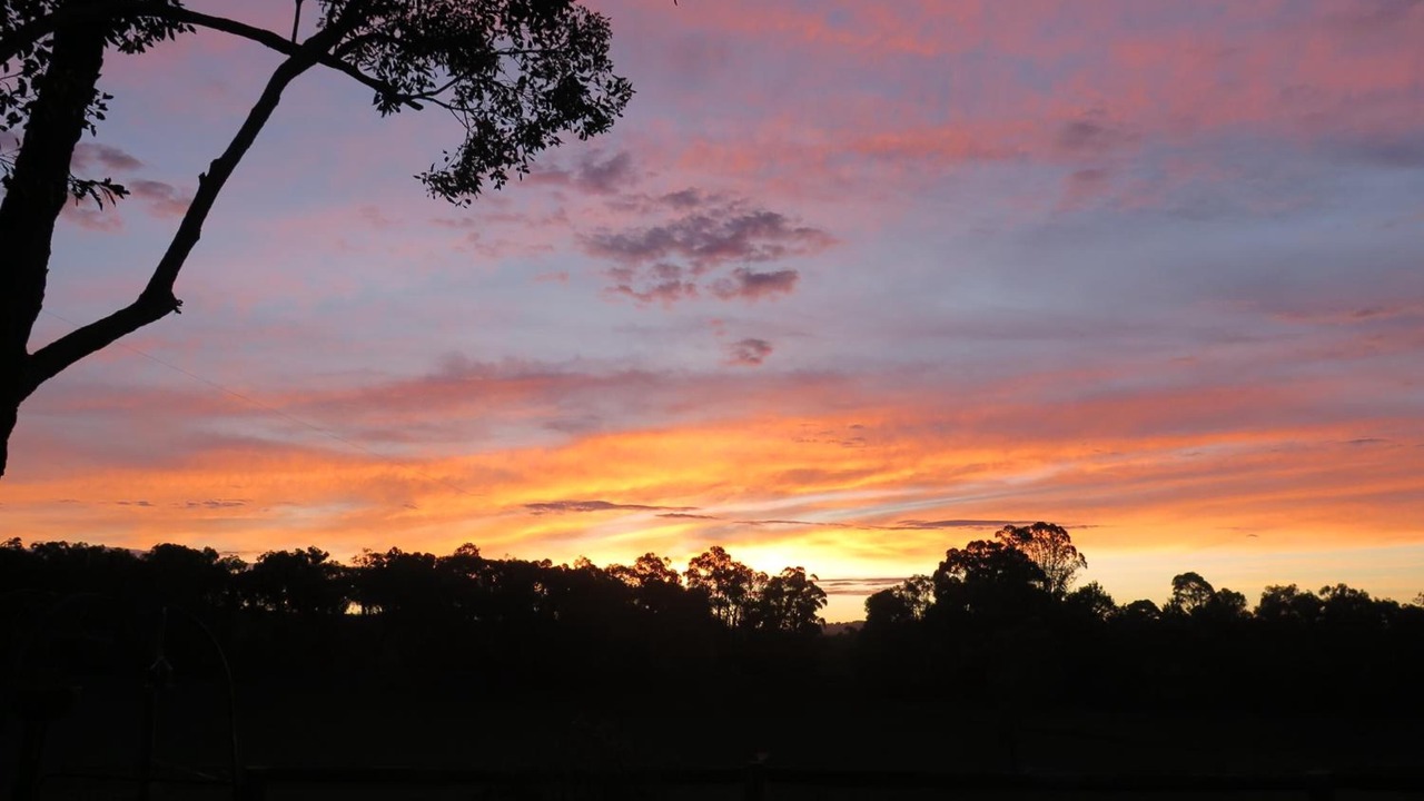 Photo of Others in Yellingbo