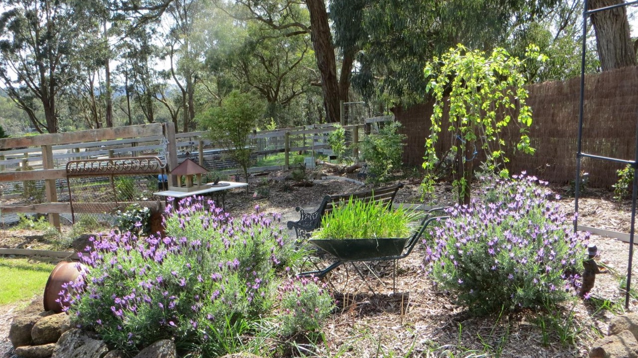 Photo of Outdoor in Yellingbo