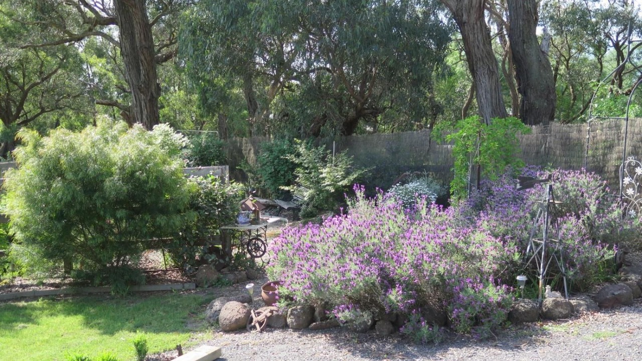 Photo of Outdoor in Yellingbo