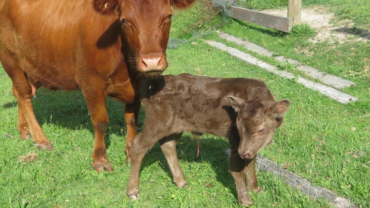 Photo of Outdoor in Yellingbo