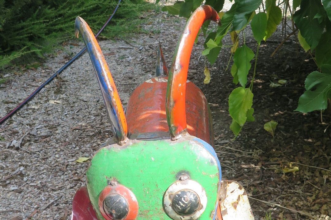 Photo of Outdoor in Yellingbo