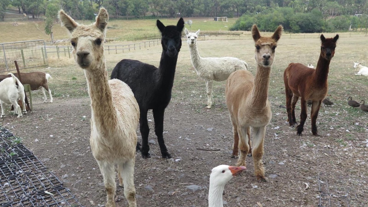 Photo of Outdoor in Yellingbo